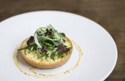 Savory Onion Tart with Wood Sorrel
