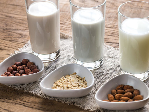 Make Your Own Plant-Based Milk